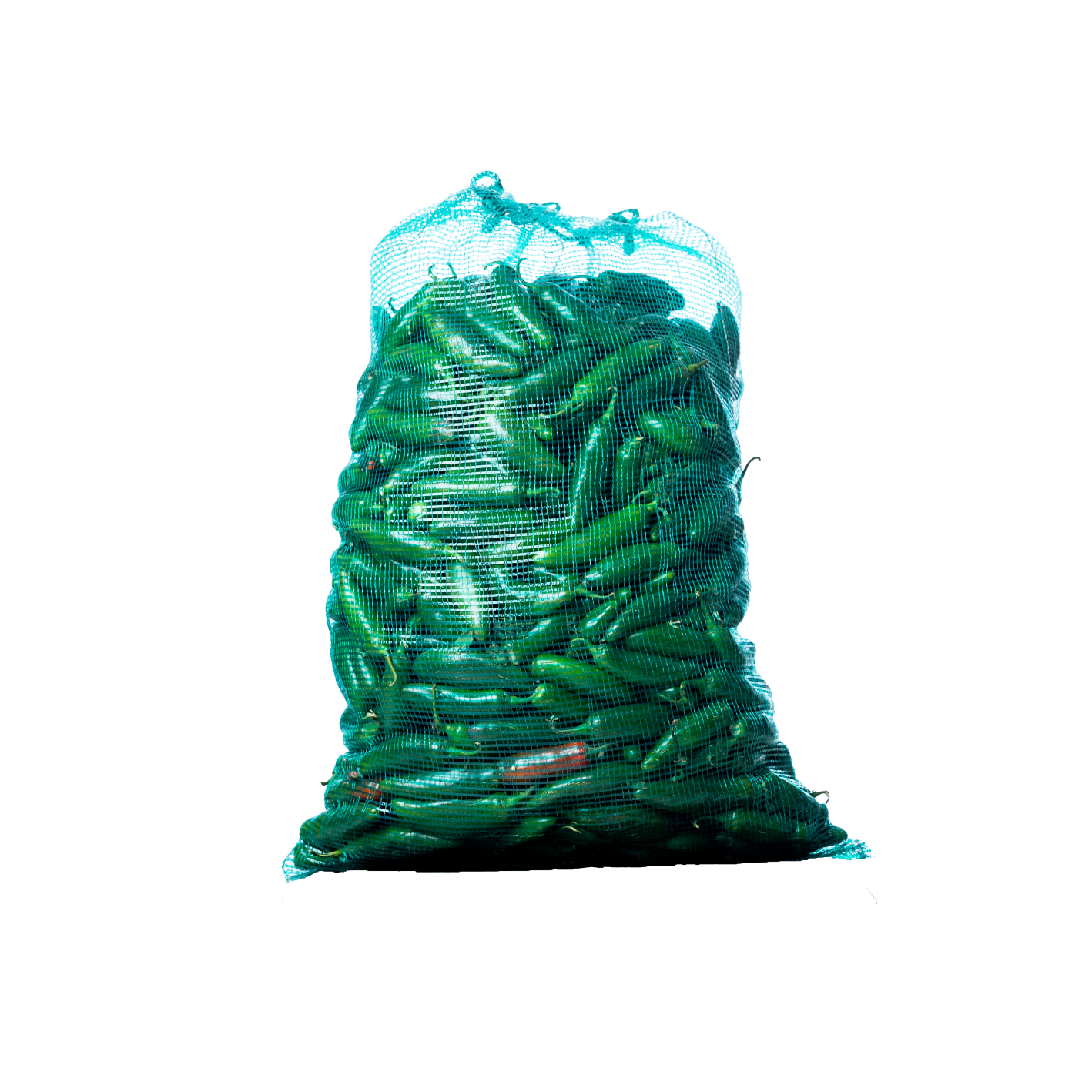 ARPILLA MONOFILAMENTO