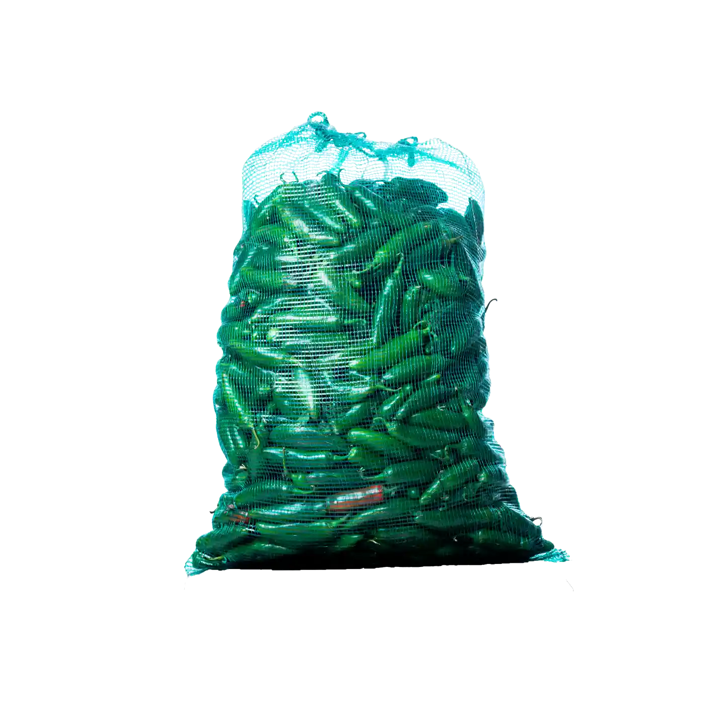 CIRCULAR MONOFILAMENT MESH BAG