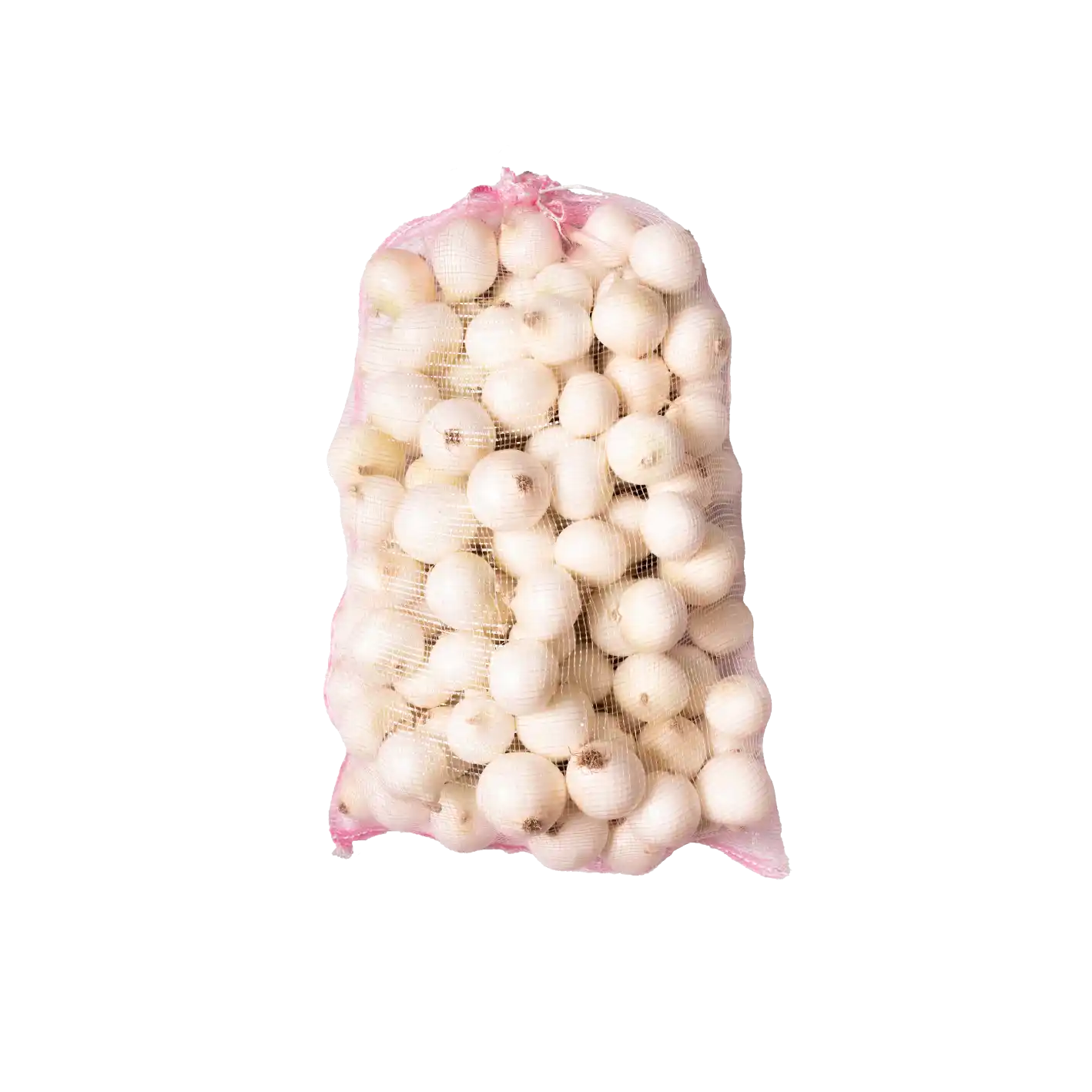 SIDE SEAM MESH BAG