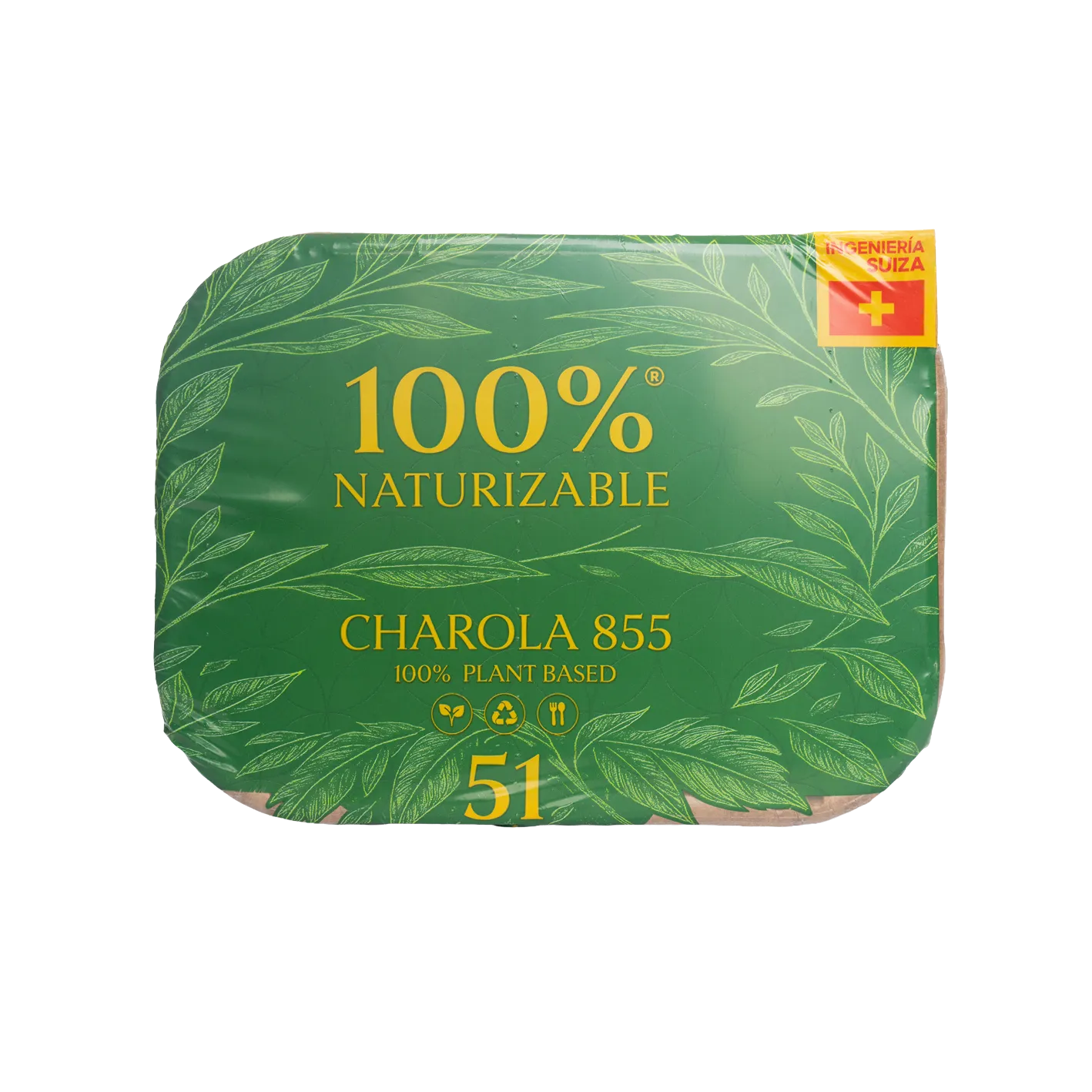 CHAROLA 855 vista 2