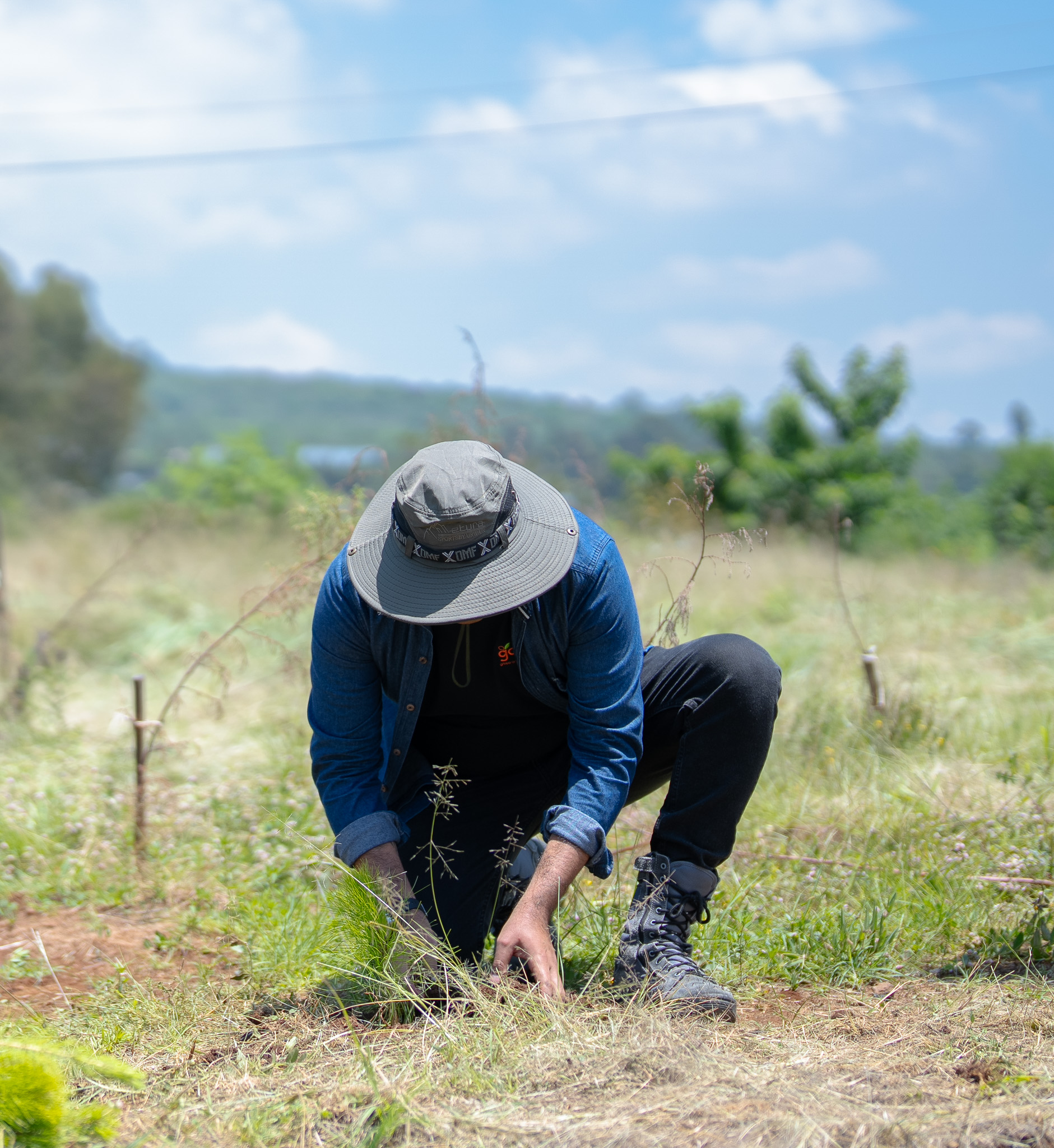 Campaña Áreas Verdes — reforestación Grupo Ortiz