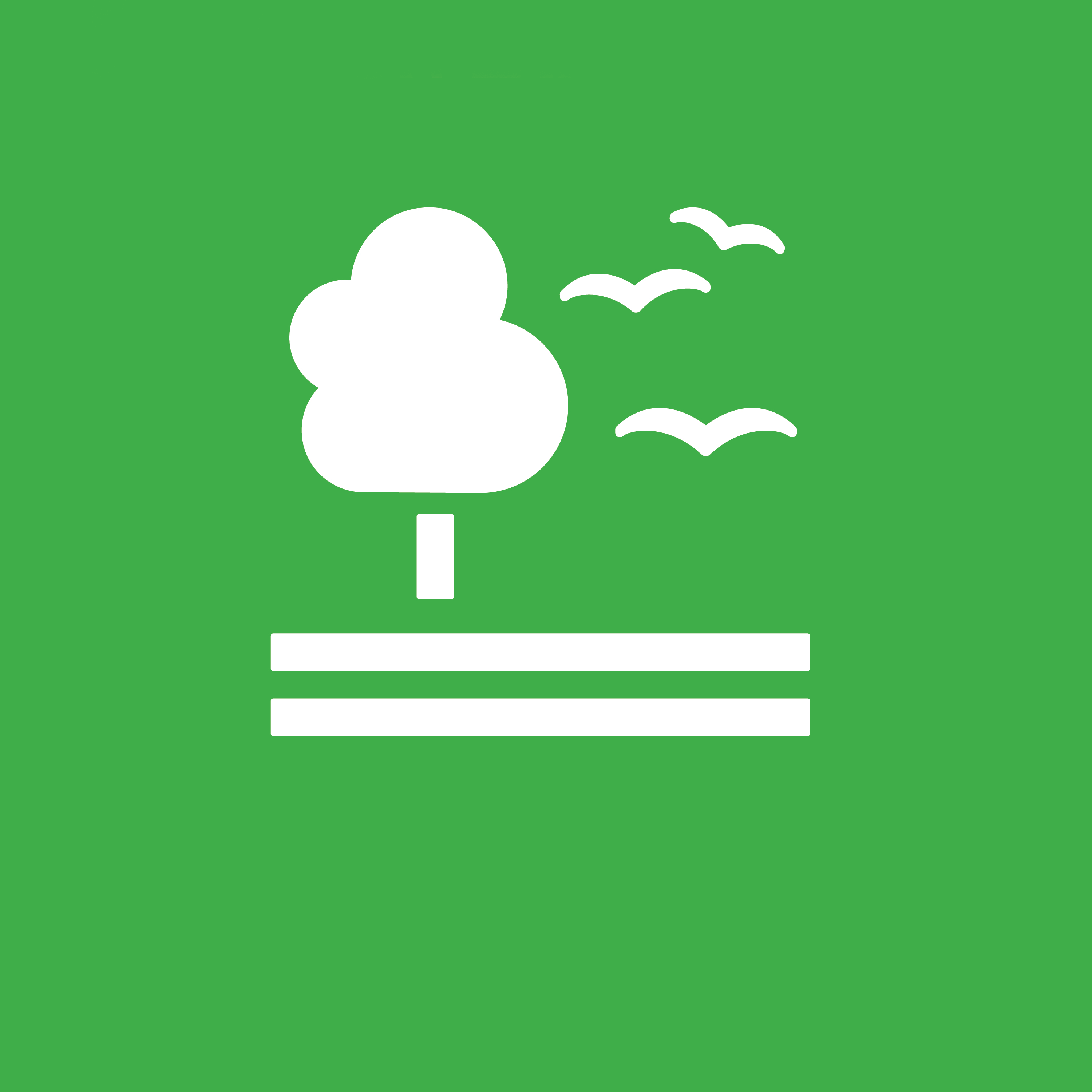 ODS 15 – Vida de Ecosistemas