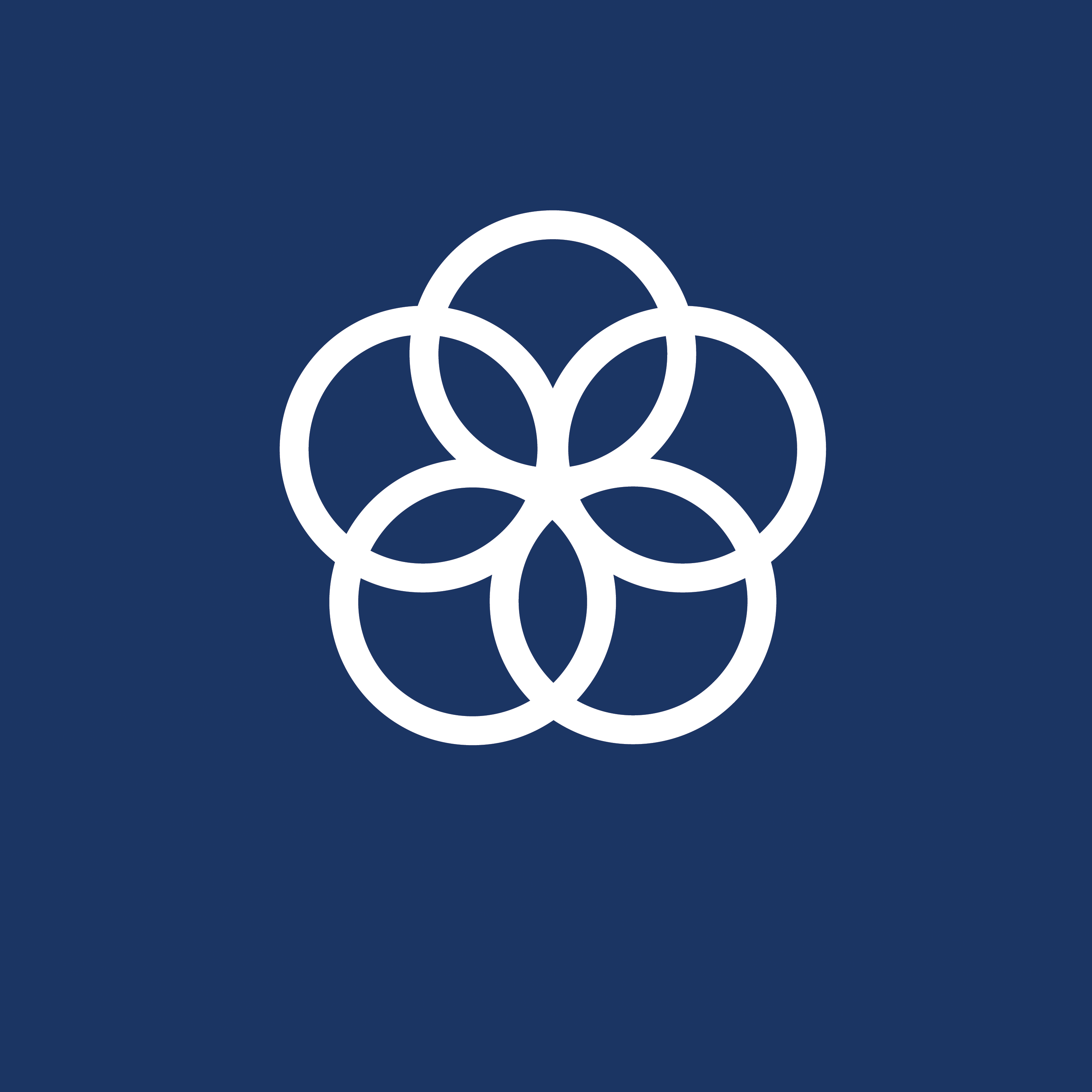 ODS 17 – Alianzas para Lograrlos