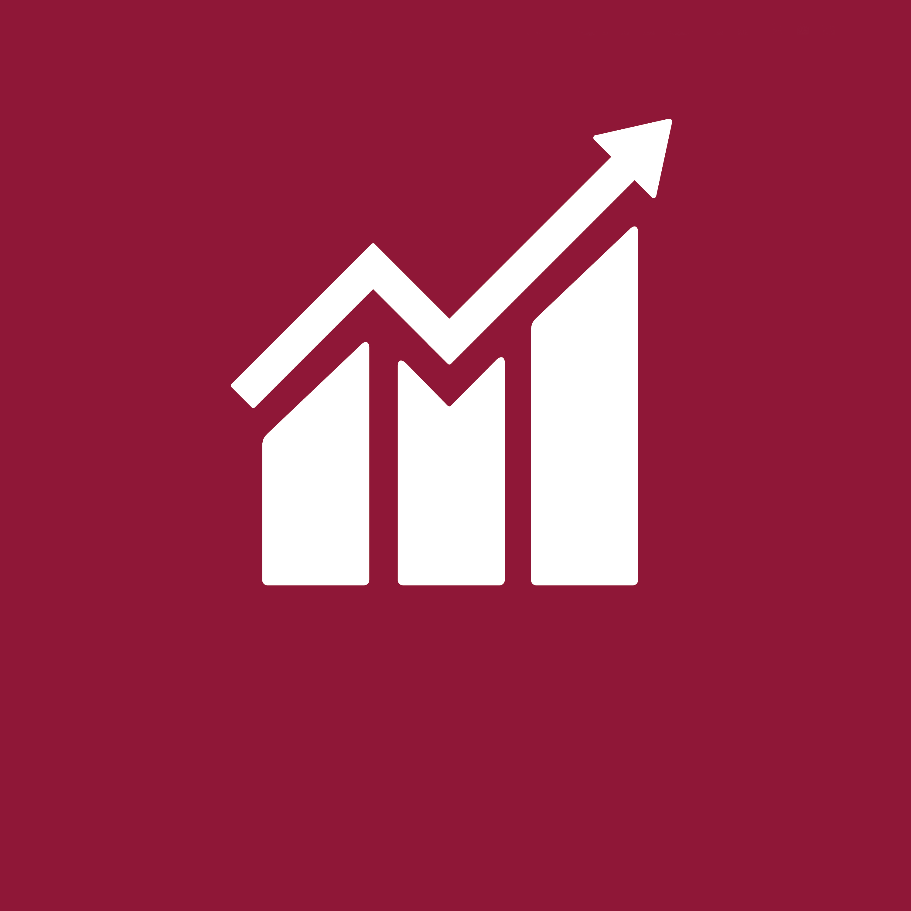 ODS 8 – Trabajo Decente