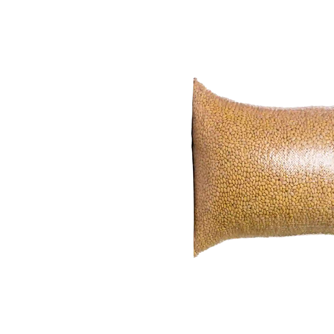 SACO TRANSPARENTE vista 1