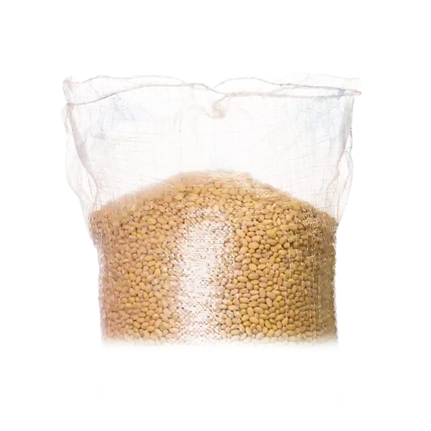 SACO TRANSPARENTE vista 3