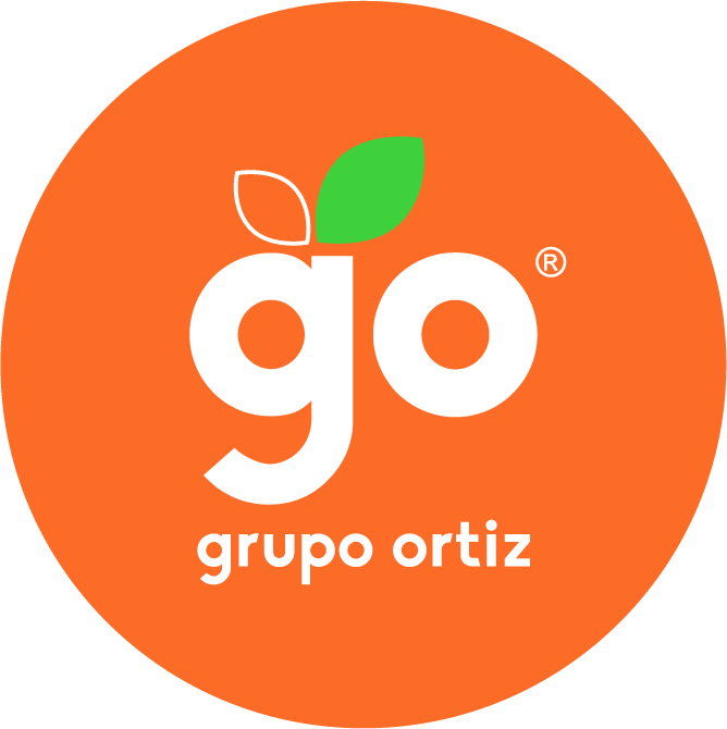 Grupo Ortiz